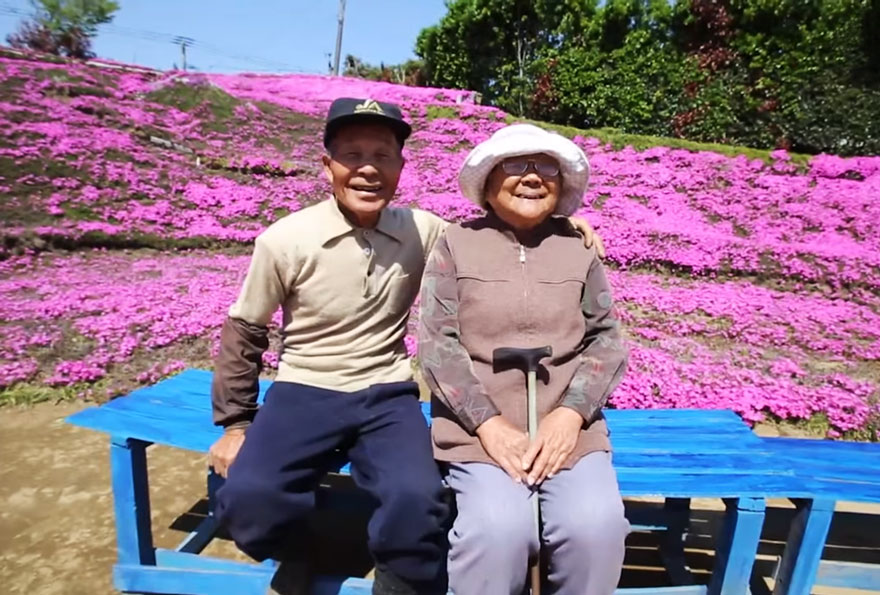 Milujúci manžel strávil dva roky pestovaním tisícok kvetov pre svoju nevidiacu manželku