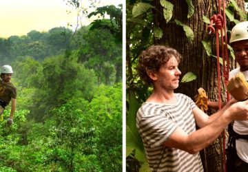 Stavebný inžinier z Tešedíkova dostal Oscara za ekodom v Kostarike. Teraz zachraňuje pralesy